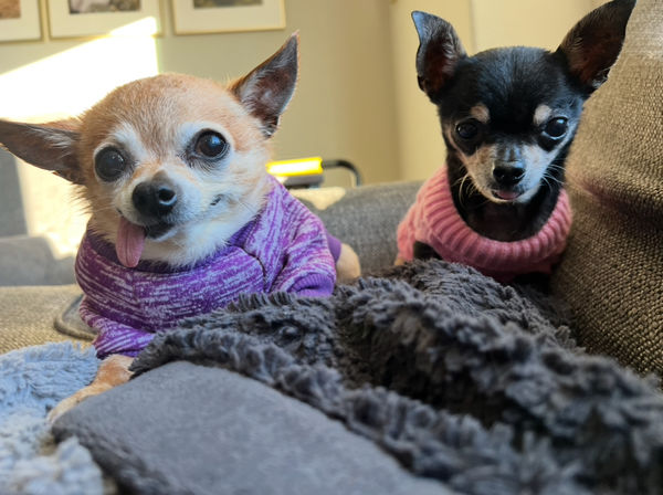 Princess (fka Pixie Stix)