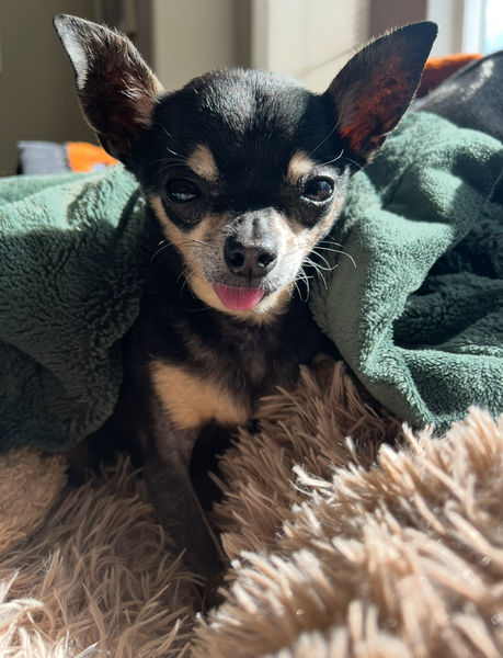 Princess (fka Pixie Stix)