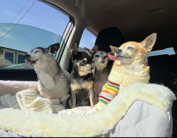 Princess (fka Pixie Stix)