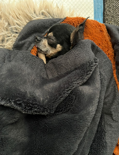 Princess (fka Pixie Stix)