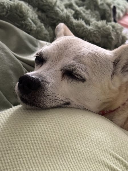 Glinda (fka Skyfall)