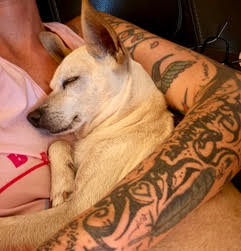 Maverick (fka Stonewall)