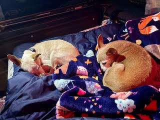 Maverick (fka Stonewall)