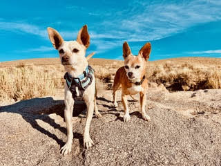 Maverick (fka Stonewall)