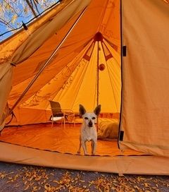 Maverick (fka Stonewall)