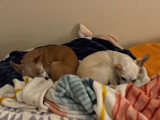 Maverick (fka Stonewall)