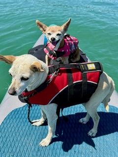 Maverick (fka Stonewall)