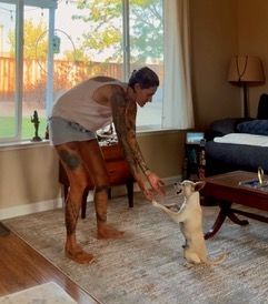 Maverick (fka Stonewall)