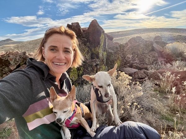 Maverick (fka Stonewall)