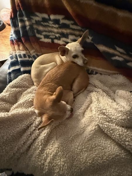 Maverick (fka Stonewall)