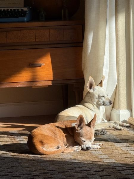 Maverick (fka Stonewall)