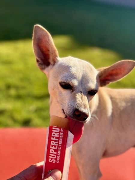 Maverick (fka Stonewall)