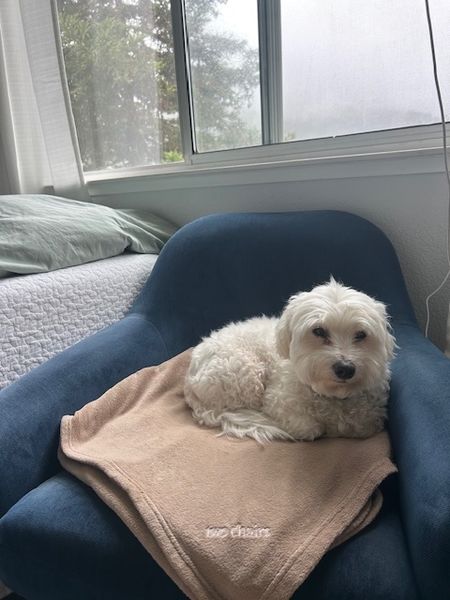 Halloumi (fka Franz)