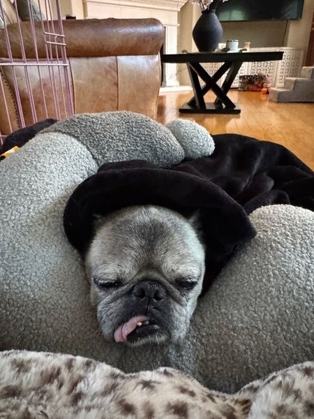 Goldie (fka California Love)