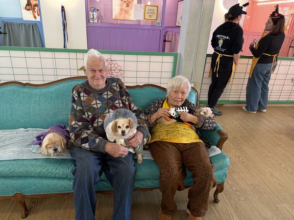 Penny (fka Paparazzi)