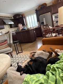 Chester (fka Red Rooster)