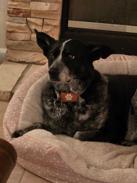 Corie (fka Valentine)