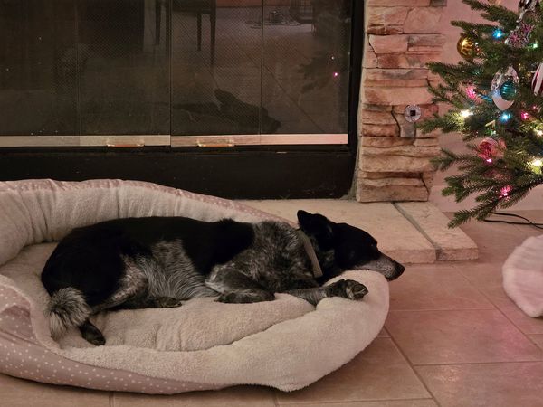 Corie (fka Valentine)