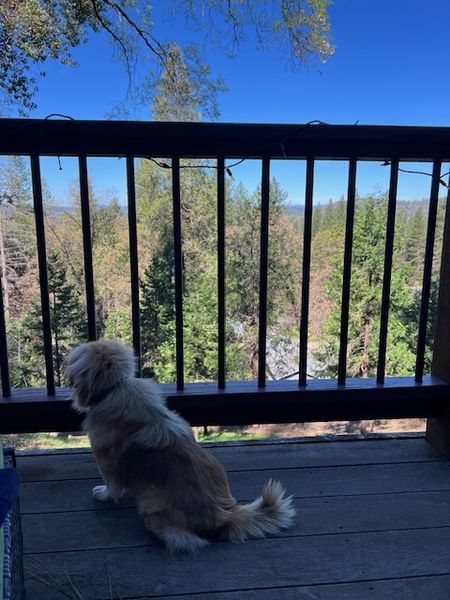 Tricki Woo (fka Cornell)