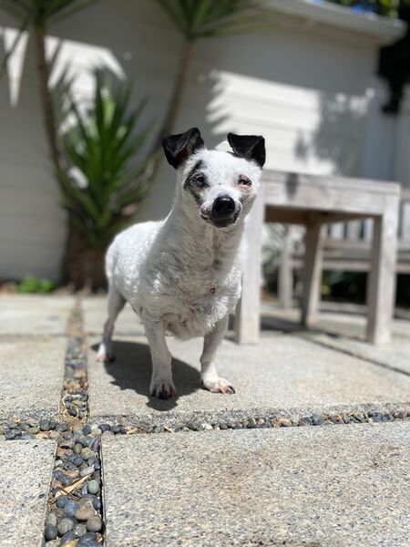 Jax (fka Friend)