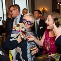 Pooches of the Caribbean