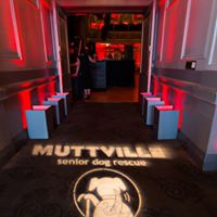 Pooches of the Caribbean