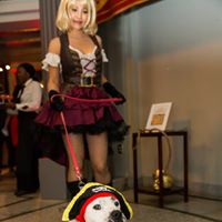 Pooches of the Caribbean