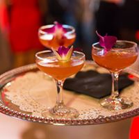 Pooches of the Caribbean