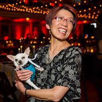 Pooches of the Caribbean