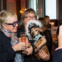 Pooches of the Caribbean