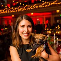 Pooches of the Caribbean