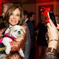 Pooches of the Caribbean