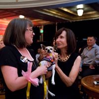 Pooches of the Caribbean