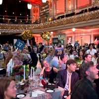 Pooches of the Caribbean