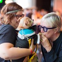 Speakeasy: Bark 3 Times