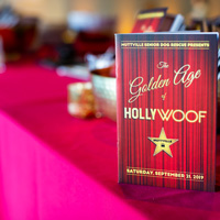 The Golden Age of Hollywoof