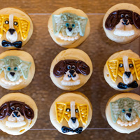 The Golden Age of Hollywoof