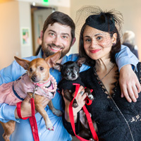 The Golden Age of Hollywoof