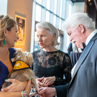 The Golden Age of Hollywoof