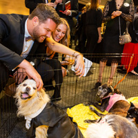 The Golden Age of Hollywoof