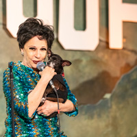 The Golden Age of Hollywoof