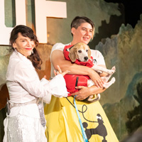 The Golden Age of Hollywoof