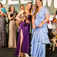 The Golden Age of Hollywoof