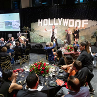 The Golden Age of Hollywoof