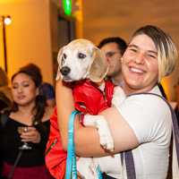 The Golden Age of Hollywoof