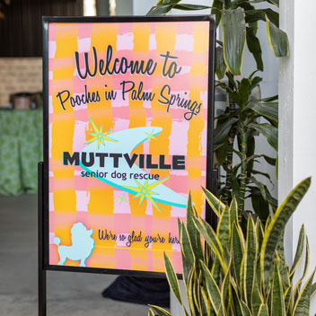 Pooches in Palm Springs