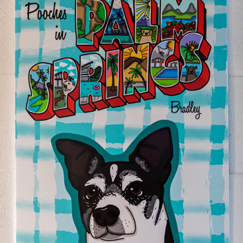 Pooches in Palm Springs