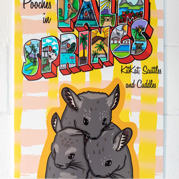 Pooches in Palm Springs