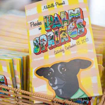 Pooches in Palm Springs