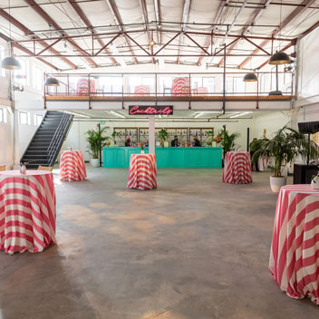 Pooches in Palm Springs